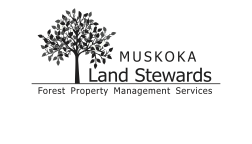 Muskoka Land STewards